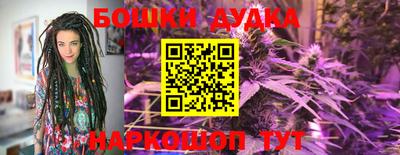 шишки Берёзовский